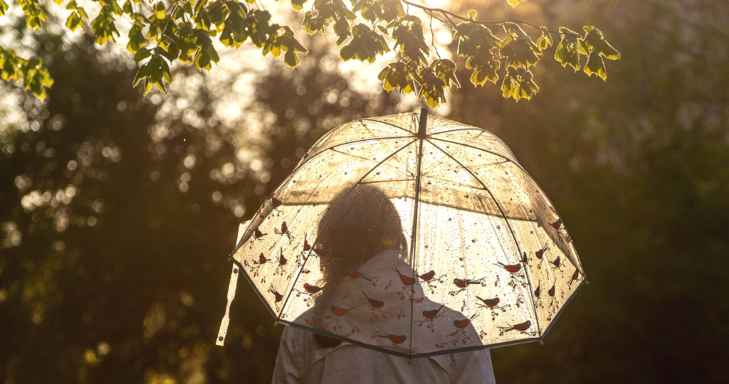 Coisas para fazer em uma semana de chuva